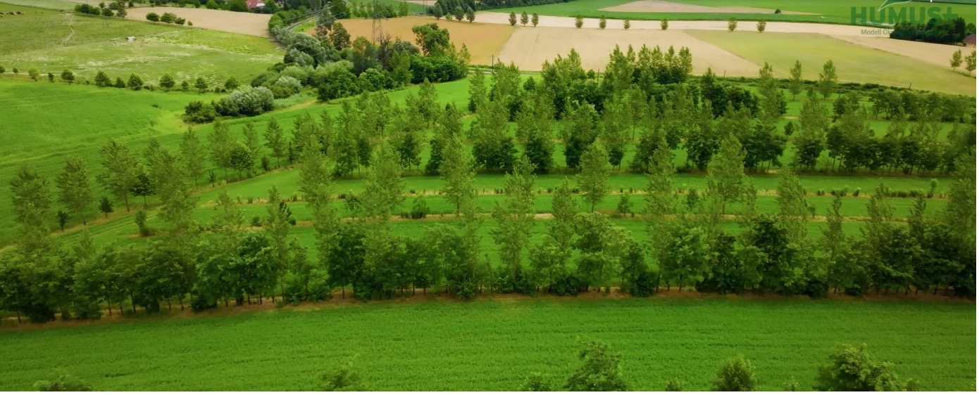 Agroforst_KEM Aktuelles