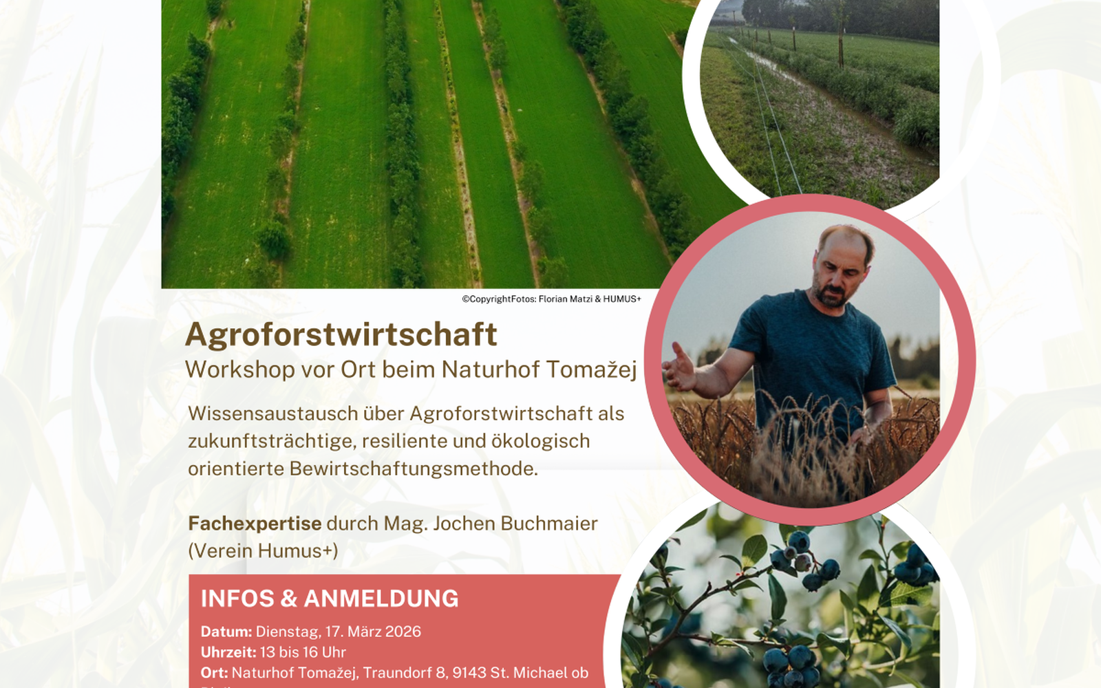 Website_Agroforstwirtschaft Aktuelle Klimaschutz-Projekte & Ma&szlig;nahmen S&uuml;dk&auml;rnten