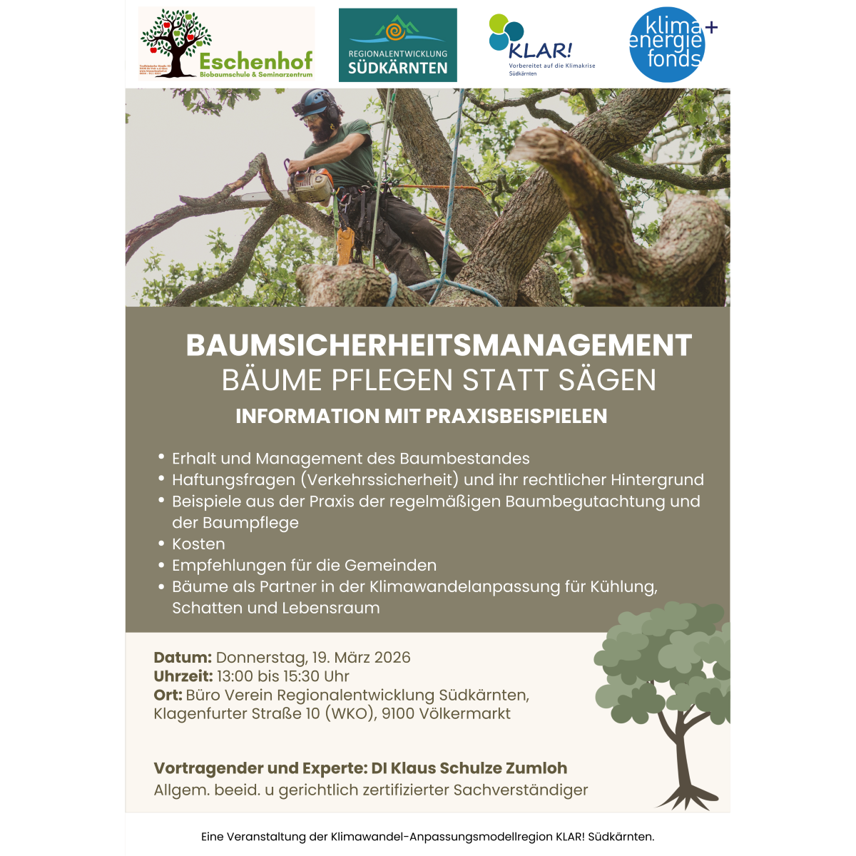 Website_Baumsicherheitsmanagement_Zumloh Aktuelle Klimaschutz-Projekte & Ma&szlig;nahmen S&uuml;dk&auml;rnten