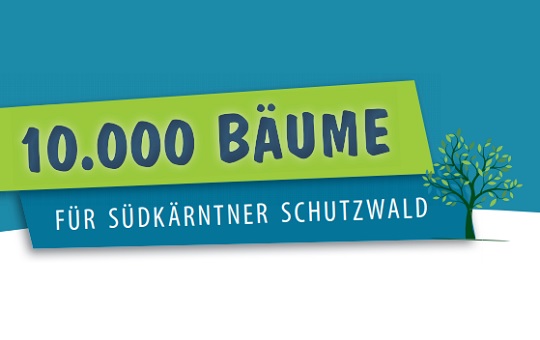 B&auml;umepflanzen KLAR - Schutzwaldaufforstung