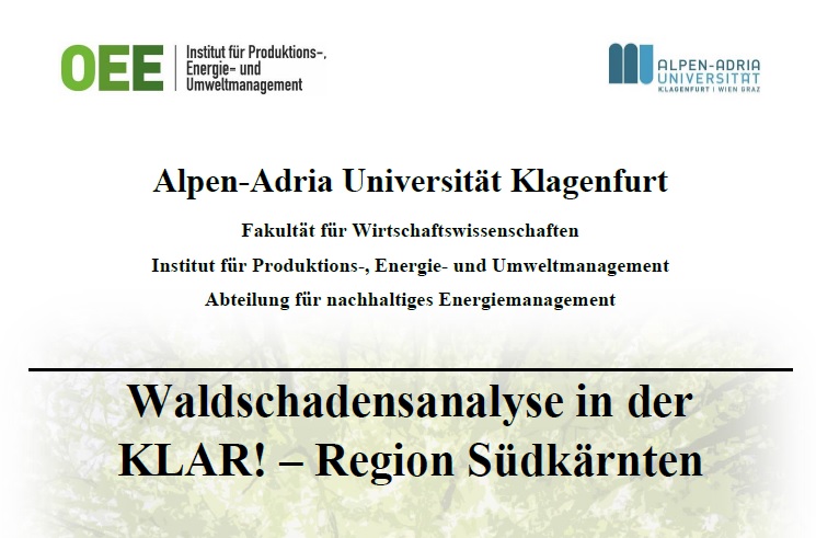 waldschaden Ziele & Ma&szlig;nahmen der KLAR! S&uuml;dk&auml;rnten | Umsetzungsphase 2017-20