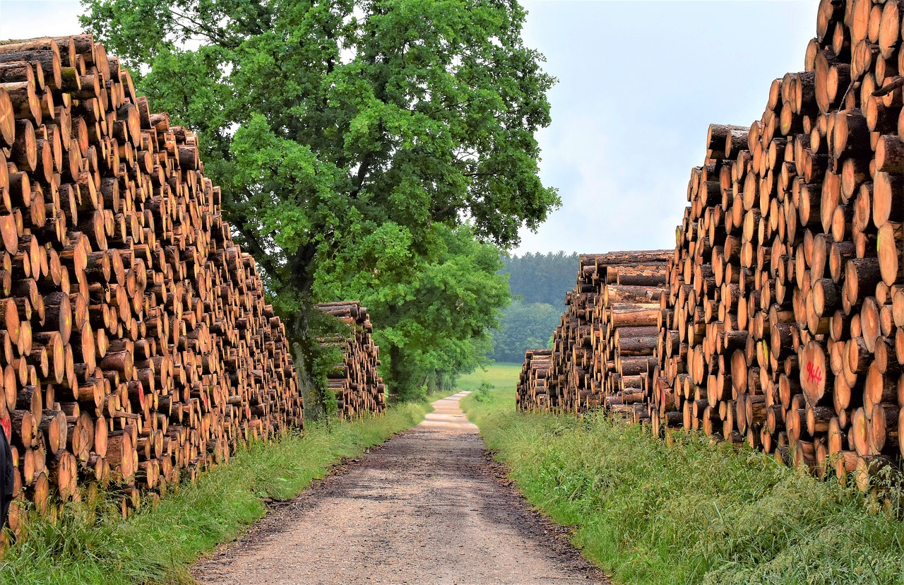 Holz KEM Projekte S&uuml;dk&auml;rnten | IV. Weiterf&uuml;hrungsphase